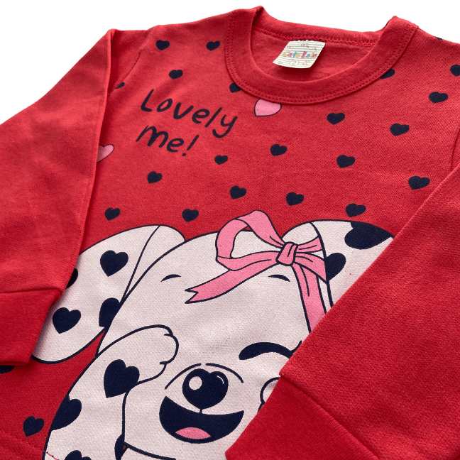 Conjunto 2 peças Feminino Meia Estação - Blusa e Calça Moletom Peluciada! Veste do 1 ao 3