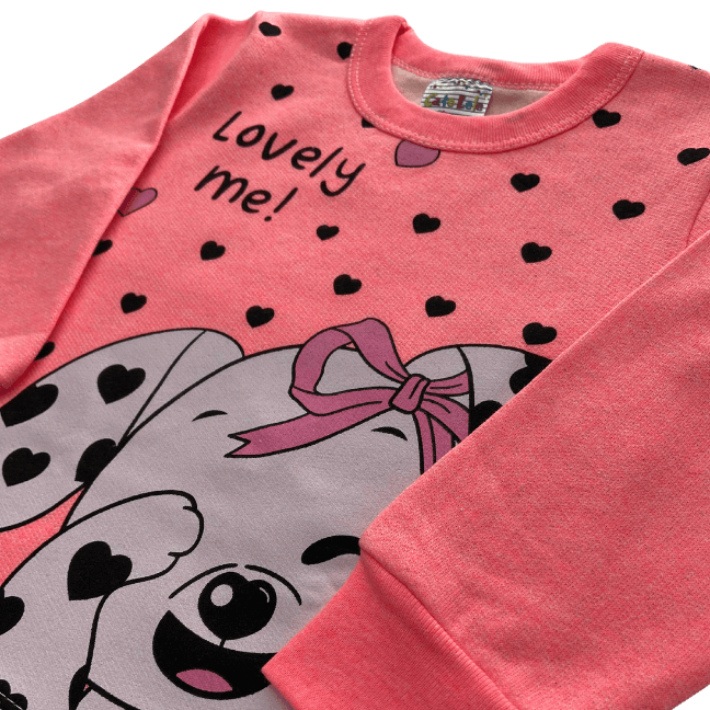 Conjunto 2 peças Feminino Meia Estação - Blusa e Calça Moletom Peluciada! Veste do 1 ao 3