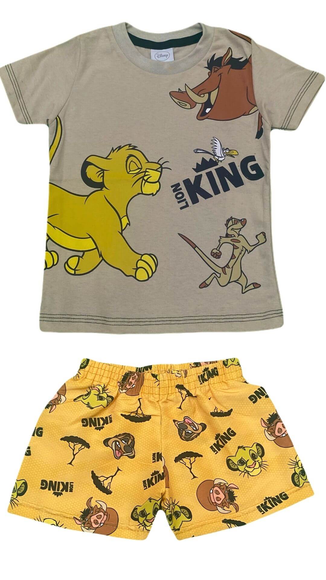 Conjunto Infantil Masculino O Rei Leão - Tamanho 1