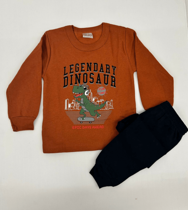 Conjunto 2 peças Masculino Inverno - Blusa e Calça Moletom Peluciada! Veste do 1 ao 3