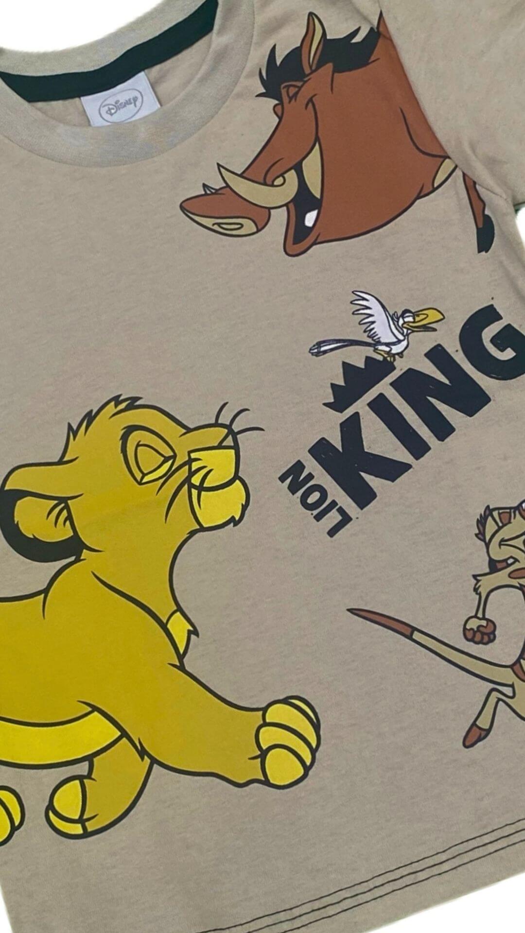 Conjunto Infantil Masculino O Rei Leão - Tamanho 1