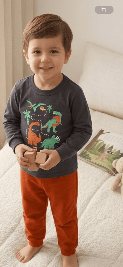 Conjunto Infantil Masculino 2 peças Moletom - Meia Estação - Tamanho 1 ao 3